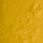 Cream Caramel - Budder (Hybrid) - Image 4