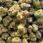 Mendo Breath - Popcorn - Image 4