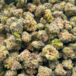 King Tut - Popcorn (1/4 LB - 2 LB) - Image 4