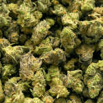 Chemdawg - Popcorn (1/4 LB - 2 LB) - Image 4