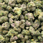 Donkey Budder - Popcorn - Image 4