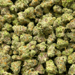 Strawberry MAC - Popcorn - Image 4