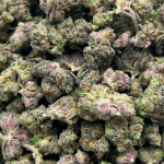 Runtz - Popcorn (1/4 LB - 2 LB) - Image 4