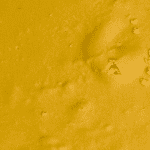 Cream Caramel - Budder (Hybrid) - Image 2