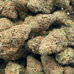 Slurricane - AAAA - Image 5