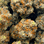 Death Bubba - Craft Cannabis - Image 5