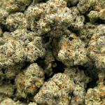 Donkey Budder - AAAA - Image 5