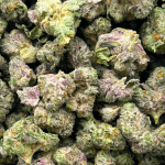 Donkey Budder - Popcorn - Image 5