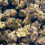 Northern Lights - Popcorn (1/4 LB - 2 LB) - Image 5