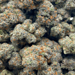 Runtz - AAAA (1/4 LB - 2 LB) - Image 5