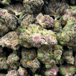 Runtz - Popcorn (1/4 LB - 2 LB) - Image 5