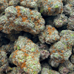 Grape Kush - AAAA (1/4 LB - 2 LB) - Image 5