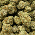 Grape Kush Mints - AAAA - Image 5