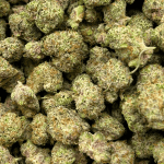 Grape Kush Mints - Popcorn - Image 5