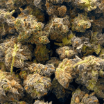 Death Gas - Popcorn (1/4 LB - 2 LB) - Image 5