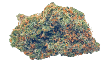 Red Congolese - AAA (1/4 LB - 2 LB)