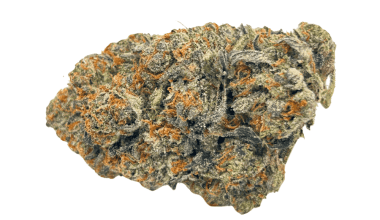 Island Pink - Craft Cannabis (1/4 LB - 1 LB)