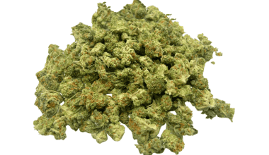 Red Congolese - Popcorn (1/4 LB - 2 LB)