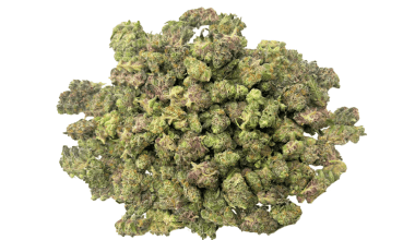 G-Wiz - Popcorn (1/4 LB - 2 LB)