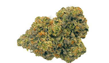 MK Ultra - Craft Cannabis