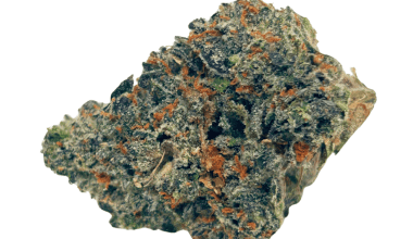 Garlic Cookies - AAAA