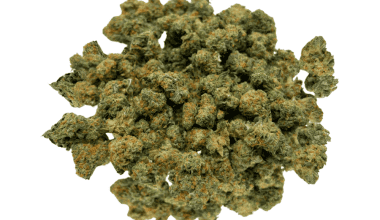 Cherry Runtz - Popcorn