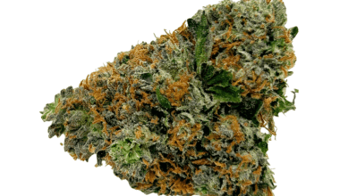 San Fernando Valley OG - AAAA (1/4 LB - 2 LB)