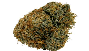 Jack Herer - AAA