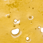 Pineapple OG - Shatter (1/4 LB) - Image 2