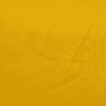 Koolato - Budder (Hybrid) - Image 2