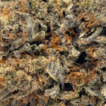 Death Tuna - AAAA (1/4 LB - 2 LB) - Image 2