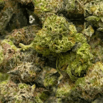 Super Silver Haze - Popcorn - Image 2