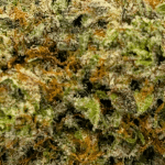 Oreoz - AAAA (1/4 LB - 2 LB) - Image 2