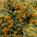 Master Kush - AAAA - Image 2