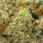 Mendo Breath - AAAA (1/4 LB - 2 LB) - Image 2
