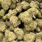 Mendo Breath - Popcorn (1/4 LB - 2 LB) - Image 2