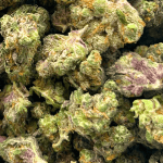 Kush Mints - Popcorn - Image 2