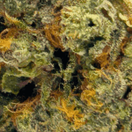 G-Wiz - AAAA (1/4 LB - 2 LB) - Image 2