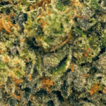 MK Ultra - Craft Cannabis (1/4 LB - 1 LB) - Image 2