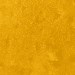 Gas Runtz - Live Resin (Hybrid) (1/4 LB - 1 LB) - Image 4