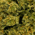 Bluefin Tuna - AAA - Image 2