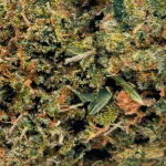 GMO Cookies - AAA - Image 2