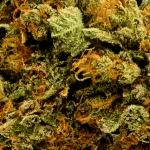 OG Kush - AAAA - Image 2