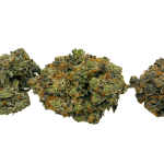 Hindu Kush - Craft Cannabis - Image 4