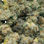 Frostbite - Popcorn (1/4 LB - 2 LB) - Image 2