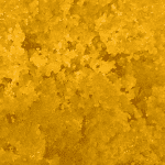 Mango Kush - Live Resin (Indica) - Image 2