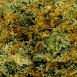 Cherry Runtz - AAA (1/4 LB - 2 LB) - Image 2