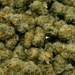 Cherry Runtz - Popcorn - Image 2