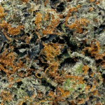 Bubba OG - Craft Cannabis - Image 2