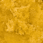 Sugar Cookie - Live Resin (Hybrid) - Image 2
